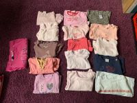 Baby Mädchen Shirts langarm Größe 62, 62/68 Baden-Württemberg - Hartheim Vorschau