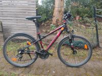 Jugend Mountainbike 26 Zoll Hessen - Habichtswald Vorschau