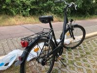 Damenfahrrad Sachsen-Anhalt - Halle Vorschau