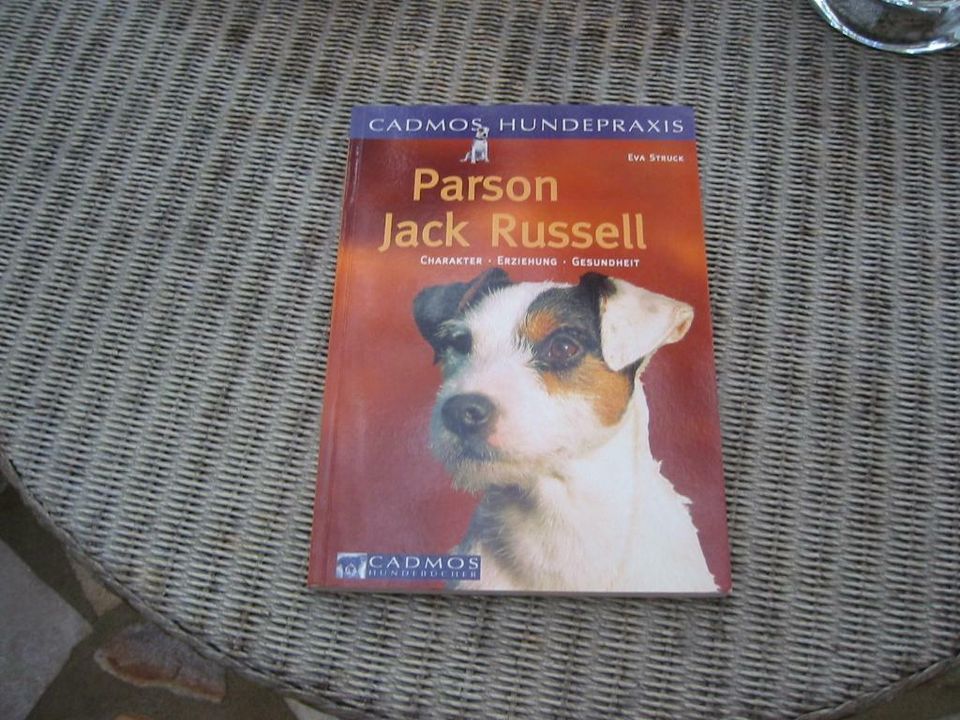 Parson Jack Russell Cadmos Hundepraxis Cadmos-Hundebücher Struck in Köln