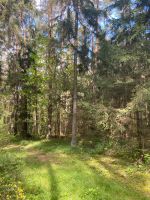 Waldgrundstück Bayern - Roßtal Vorschau