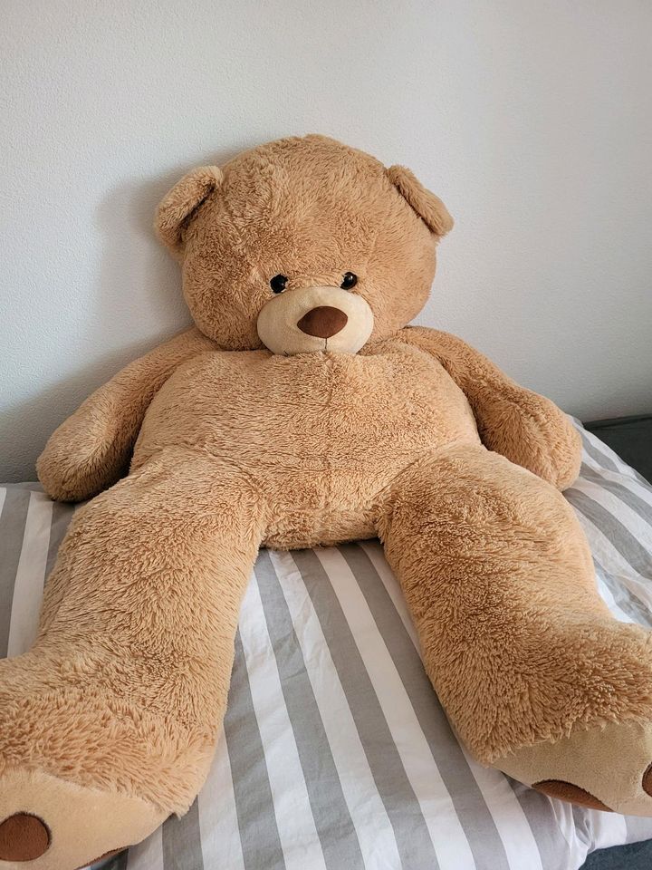 Teddybär mannsgroß in Tuttlingen
