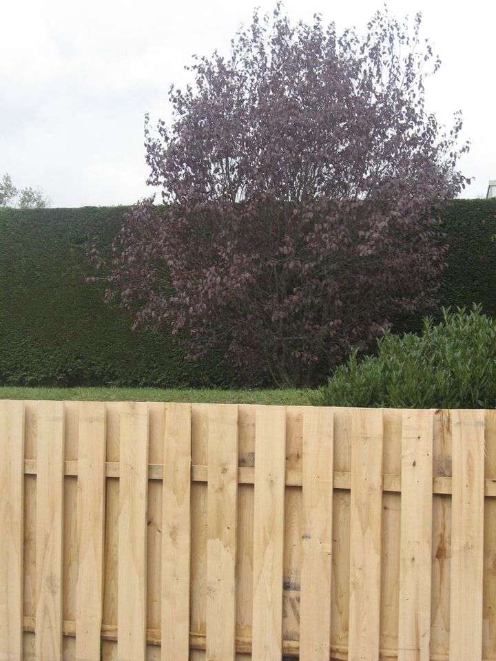 Kastanienbretter Kastanienholz Sichtschutz Gartenzaun Bretter in Straubing