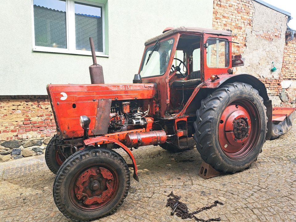 Belarus MTS 50 mit Deutz Mähwerk in Schleiz