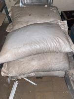 10 Sack A 25 Kilo Holz Pellets circa 5 bis 6 mm Brandenburg - Neu Zauche Vorschau