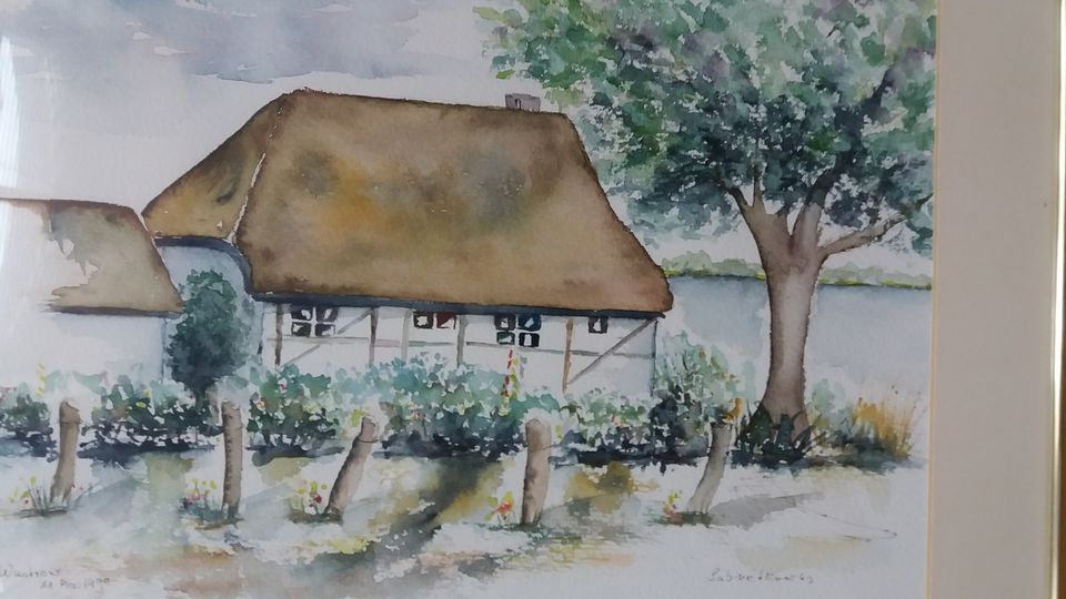 6 grosse original Aquarelle signiert Passepartout s.hochwertig in Torgau