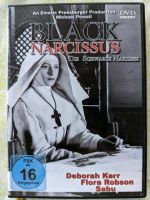 Narcissus - die schwarze Narzisse Hessen - Wald-Michelbach Vorschau
