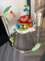 Fisherprice Jumperoo Frosch Nordrhein-Westfalen - Unna Vorschau