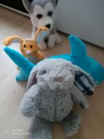 Plüschtier Kinderspielzeug Stofftiere Sachsen-Anhalt - Bad Lauchstädt Vorschau