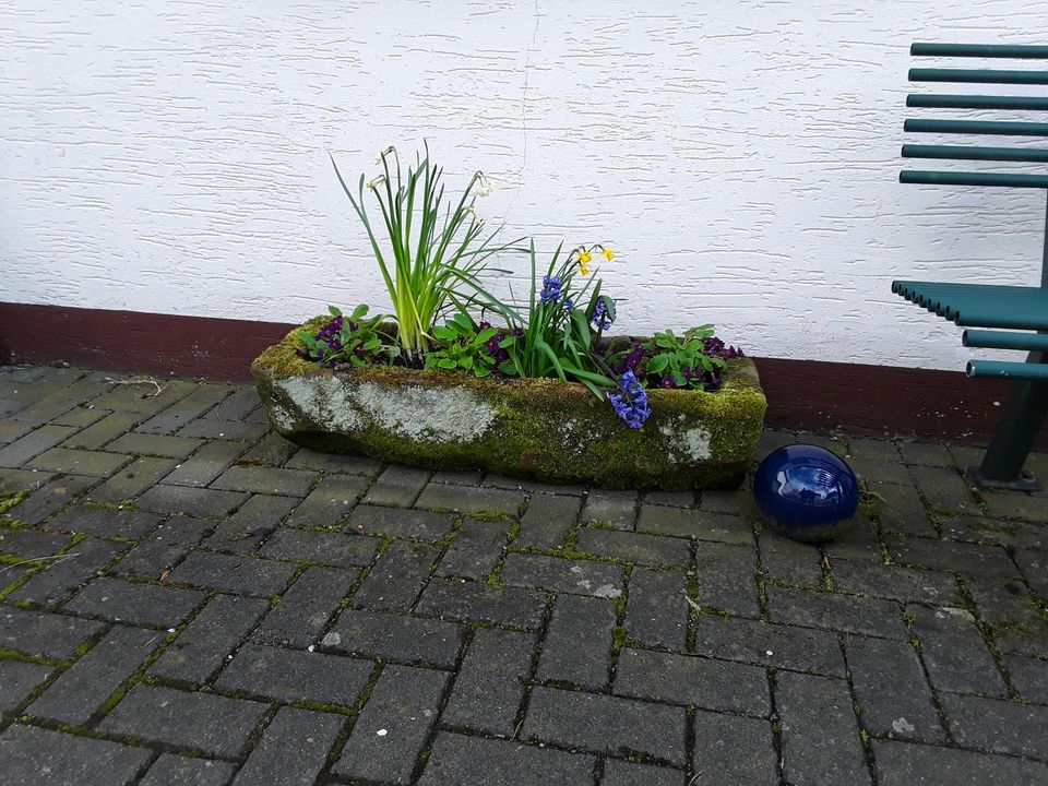 Alter Trog aus Sandstein in Marsberg