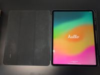 Apple iPad Pro 12,9“ Space Grau WiFi A2229 4.Gen. 1TB Top Zustand Nordrhein-Westfalen - Gelsenkirchen Vorschau