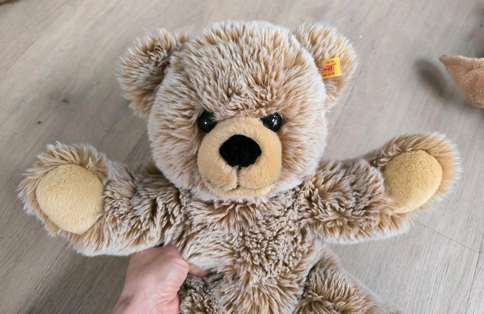 Steiff Teddy XL 45cm Schlenkerbär Bobby 014154 top Zustand in Schenefeld