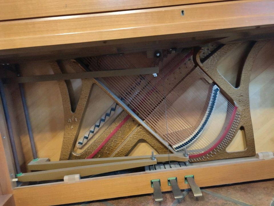 Klavier Hoffmann in Bargfeld-Stegen