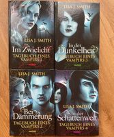 Tagebuch eines Vampirs Vampire Diaries 1-4 Bestsellerserie Damon Nordrhein-Westfalen - Hamm Vorschau