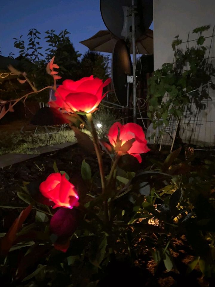 LED Rosen Solarleuchten Gartenlicht Garten Deko in Nürnberg (Mittelfr)