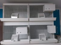 Vogelzuchtboxen zuverkaufen! Hessen - Waldeck Vorschau