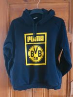 BVB Hoodie XL Mecklenburg-Vorpommern - Eggesin Vorschau