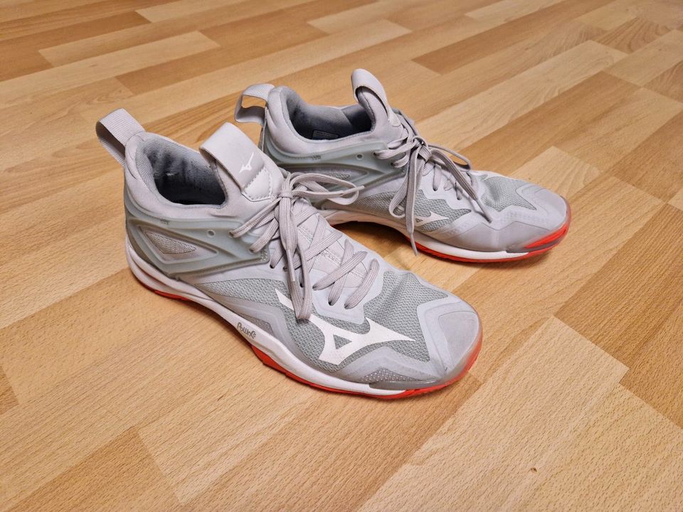 Mizuno Handballschuh Sportschuh Größe 40 in Lilienthal