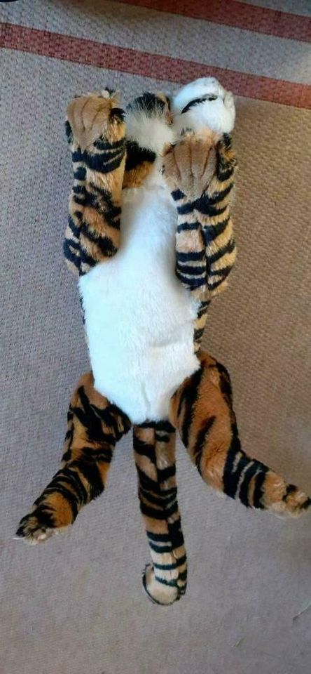 Flauschiger Tiger, knapp 60 cm in Wurzen