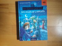 Kinderbuch "Das magische Labyrinth" Bayern - Diedorf Vorschau