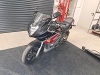 Suzuki GS500 F  2955KM, Neuzustand Bayern - Holzheim a.d. Donau Vorschau