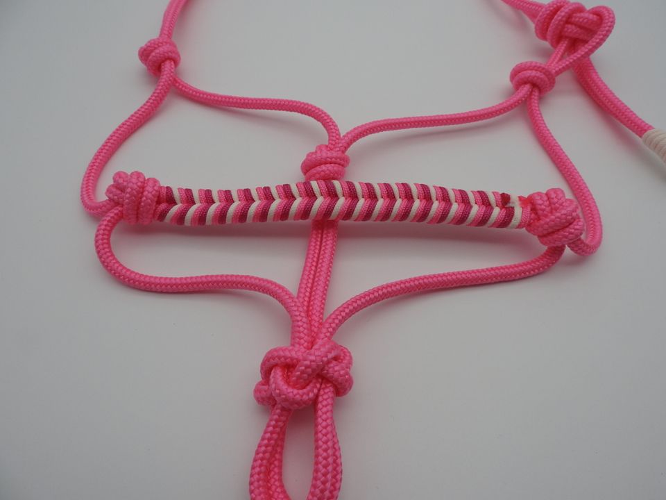 122) Knotenhalfter SHETTY neon pink in Sottrum