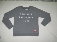 Hollister Damen Sweatshirt Pullover Grau Gr. M Top Zustand Rheinland-Pfalz - Römerberg Vorschau