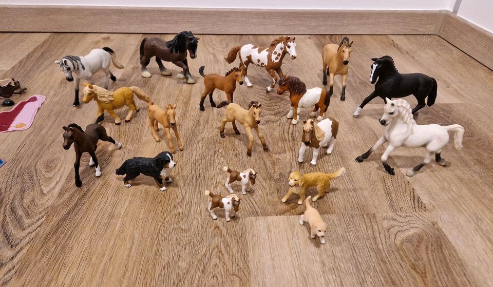 Schleich Pferde, Ponys, Reiter mit Zubehör, Hunde in Kaufbeuren