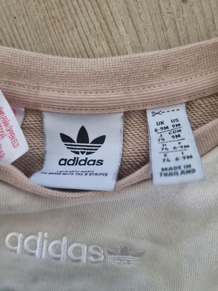 Adidas Original Anzug Mädchen in Bad Oldesloe