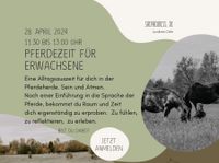 Pferdezeit für Erwachsene Niedersachsen - Adelheidsdorf Vorschau