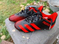 Fußballschuhe Adidas Prediator Kinder 31 Fußball Stollenschuhe Bad Doberan - Landkreis - Schwaan Vorschau