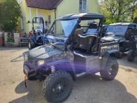 Hisun Sector E1 Elektro UTV Allrad Diff-Sperre Neu inkl. Zulas. Bayern - Feuchtwangen Vorschau