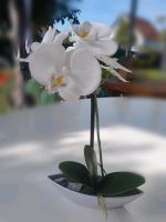 Orchidee Kunstpflanze Rheinland-Pfalz - Waldmohr Vorschau