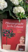 Pflanzenpracht für Ihr Zuhause✨ Wissenswertes zu Zimmerpflanzen ✨ Nordrhein-Westfalen - Geilenkirchen Vorschau