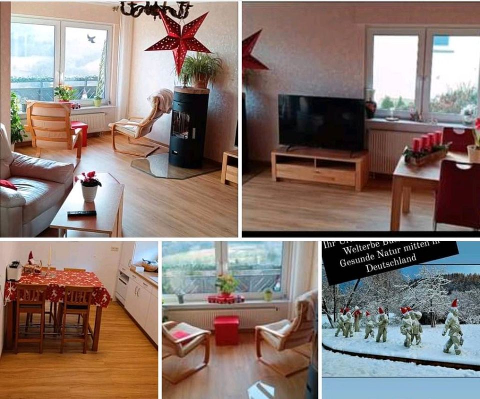 Ferienwohnung, 4 Pers,95 qm, Senioren, Kinder, Tiere, Terrasse, in Bad Wildungen