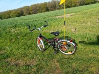 Noxon 20 Zoll Fahrrad Nordrhein-Westfalen - Hünxe Vorschau