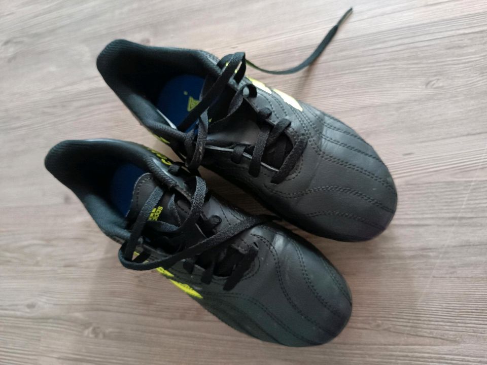 Adidas Copa Fußballschuhe Größe 36 wie neu in Gräfendorf