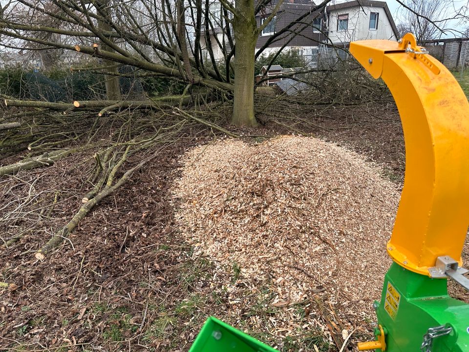 Häckseln ,Holz  kleine Stämme /Holzhäcksler /Schreddern,Bäume in Preußisch Oldendorf