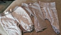 H&m Hosen leggings 68 grau baby Nordrhein-Westfalen - Niederkassel Vorschau