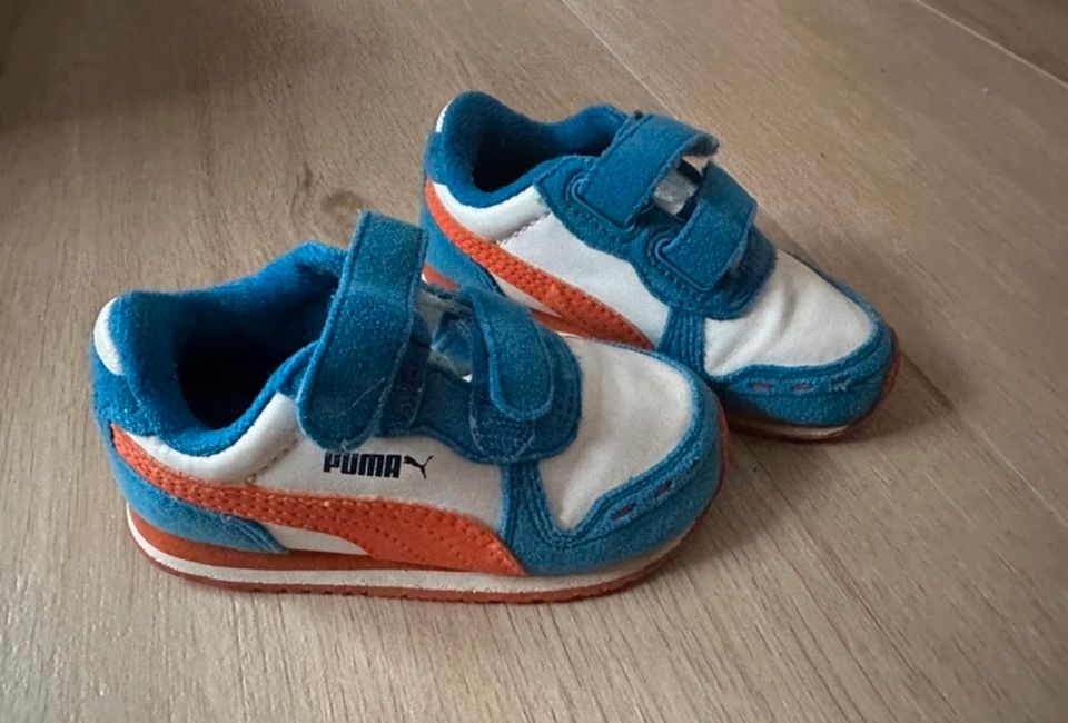 Sneaker Puma in Lugau