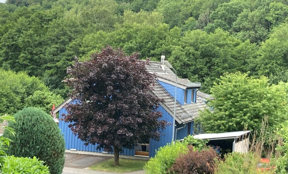 Moderne Mehrfamilienhausanlage im Grünen - Top Lage in Westerburg