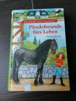 Buch Die Pferde vom Friesenhof, Pferdefreunde /Sommerglück Bayern - Neustadt am Kulm Vorschau
