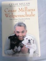 Cesar Milan Welpenechule Rheinland-Pfalz - Kaiserslautern Vorschau