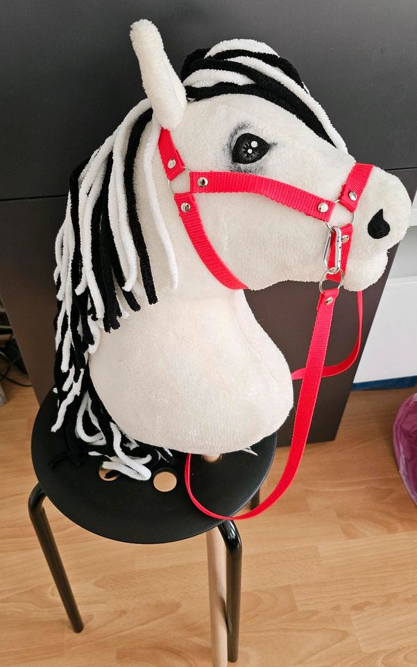 Hobby Horse Pferd in Roßwein