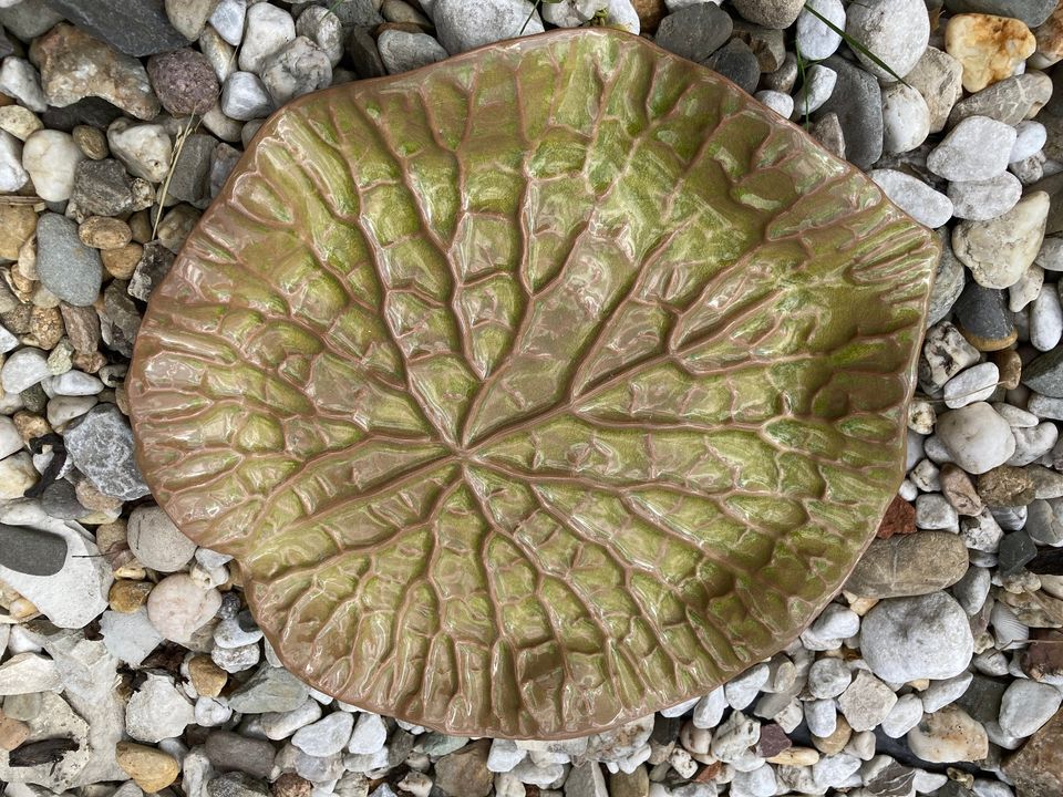Schöne Schale grün Seerosenblatt in Fürth
