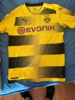 Dortmund Trikot Größe M Rheinland-Pfalz - Kaiserslautern Vorschau