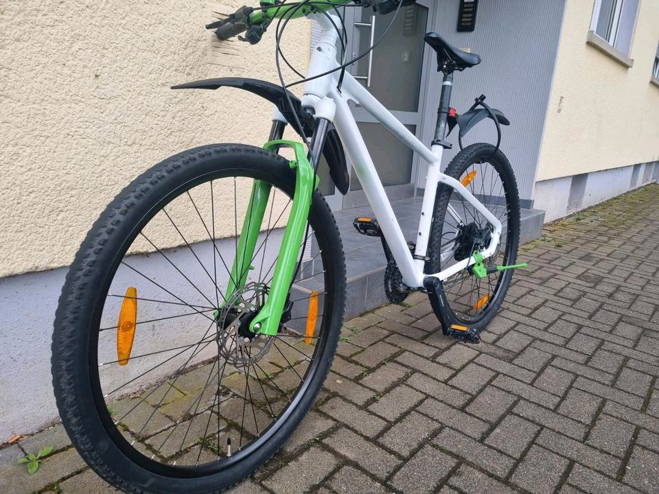 Ghost kato bike 29 zoll in Trier zu verk 200€ in Trier