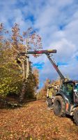 Problembaumfällung - Baumpflege - Baum Abtragung mit Fällgreifer Bayern - Ursberg Vorschau