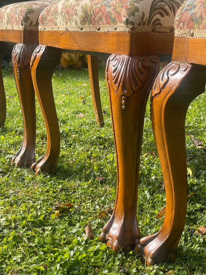 Drei alte Holzstühle in gutem Zustand, Polsterung top,Chippendale in Stephanskirchen