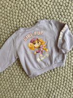 H&M Sweatshirt Pullover Paw Patrol Skye Glitzer 98 104 Hannover - Mitte Vorschau